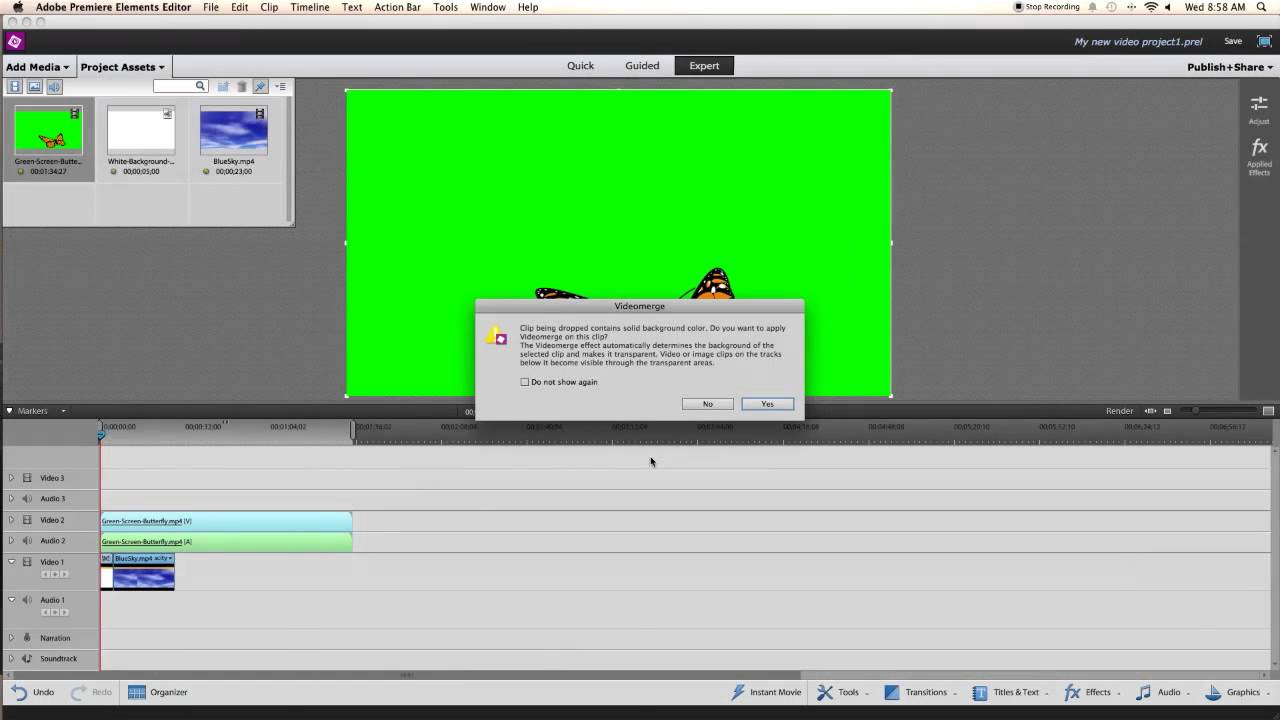 Green screen editing software